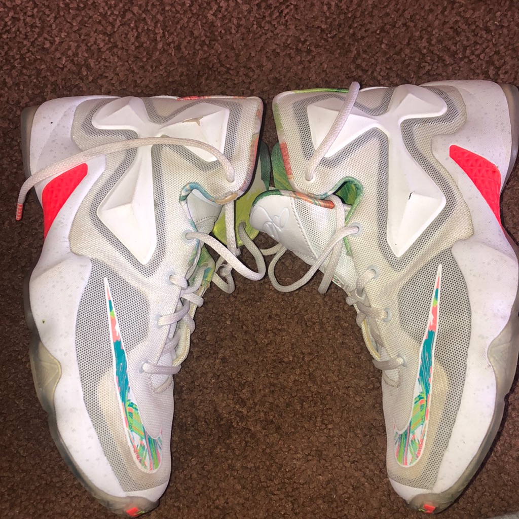 Lebron 13s